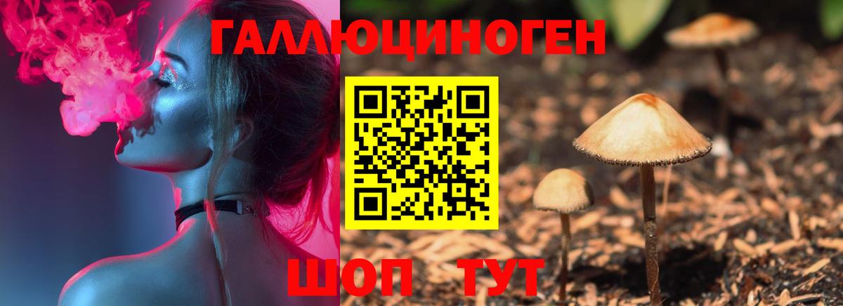 Псилоцибиновые грибы MAGIC MUSHROOMS Сорочинск